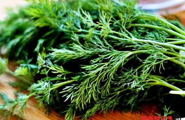 Qaynadıb suyunu için - Bağırsaqları təmizləyir, həzmi yaxşılaşdırır