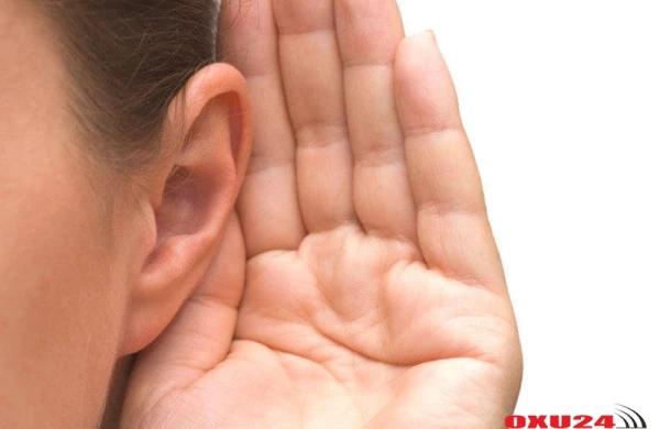 2050-ci ilə qədər dünyada hər 10 insandan biri eşitmə qüsurlu olacaq - ŞOK ARAŞDIRMA