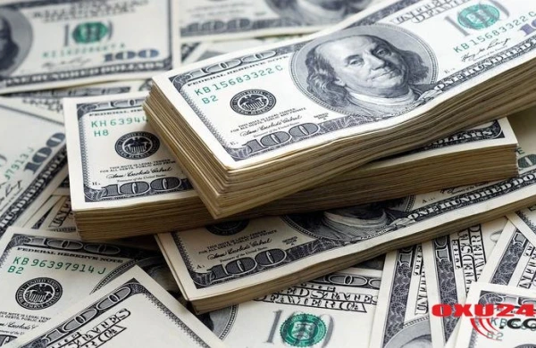 Süpürgəçi 400 min dollar tapdı - Pulun hamısını...