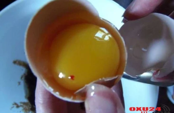 Qan ləkəsi olan yumurtaları yemək düzgündürmü?