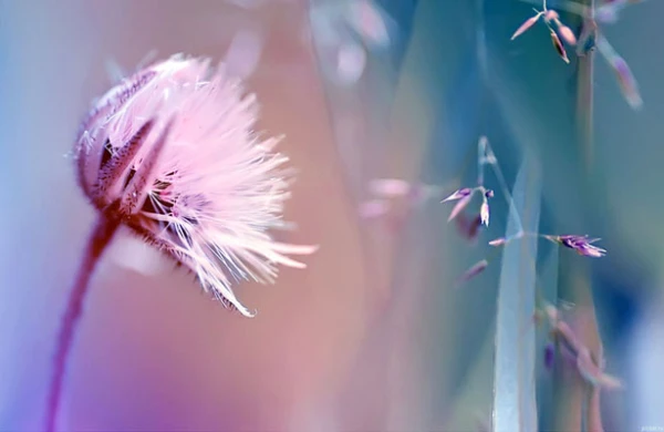 Martın 8-də hava pisləşəcək - Xəbərdarlıq