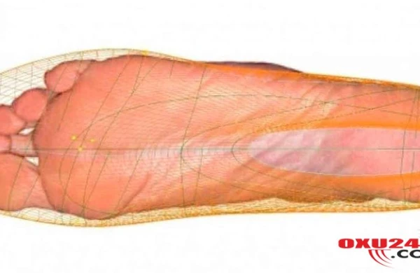 Ayaq ölçünüz neçə il yaşayacağınızı göstərir - Alimlərdən İNANILMAZ ARAŞDIRMA