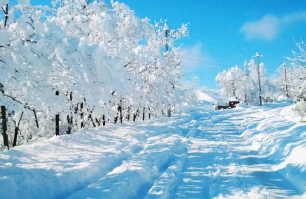Bu günün Hava proqnozu