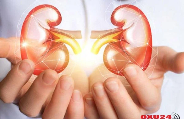 Böyrəkləri qoruyan 8 QİDA