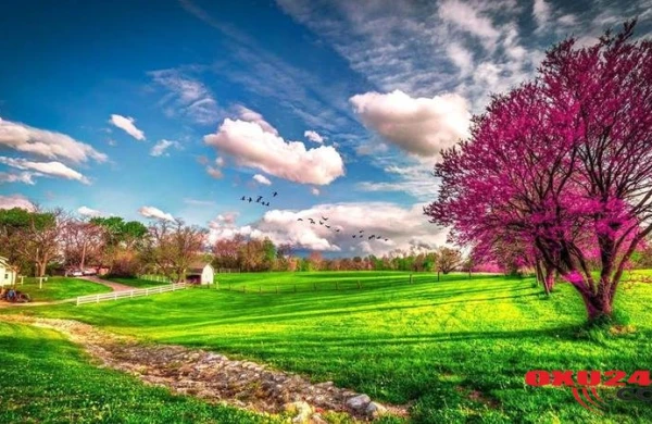 3 dərəcə şaxta, 20 dərəcə isti... - SABAHIN HAVASI