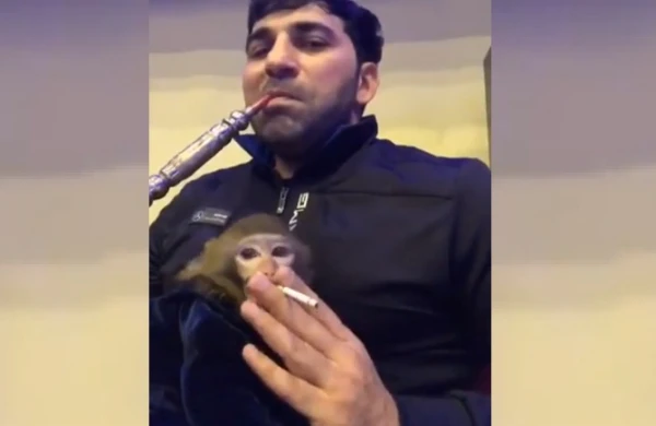 Kamil Zeynallının bu videosu narazılıq yaratdı