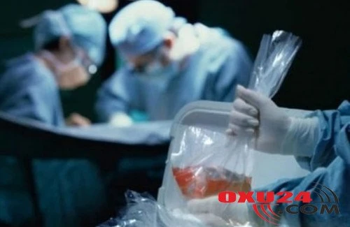 Qohum olmayan şəxslər donor ola biləcək