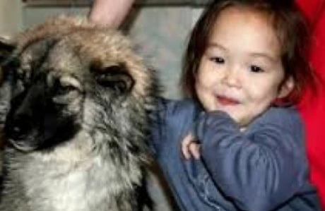 Эта 3-летняя малышка 11 дней блуждала по дикому лесу