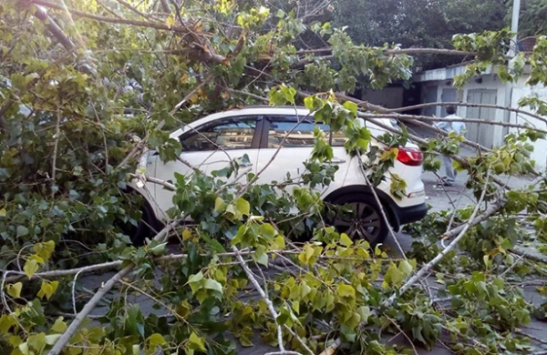 Güclü küləklə bağlı əhaliyə - Xəbərdarlıq