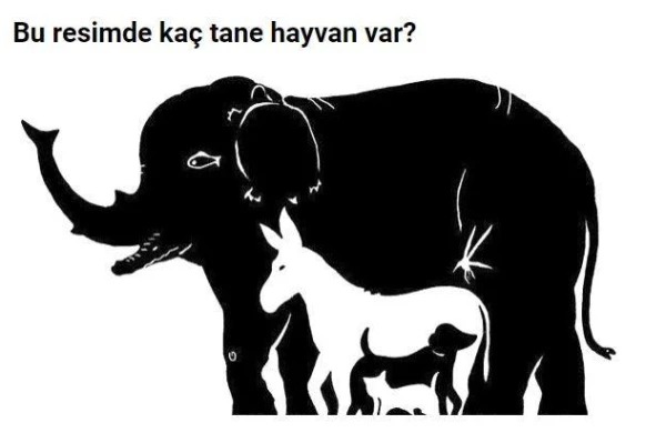 Fotoda neçə heyvan var? - Şəklə tıkla,düzgün cavabı öyrən!