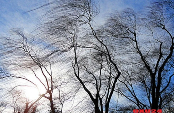 Bakıda güclü külək, rayonlarda qar - HAVA PROQNOZU
