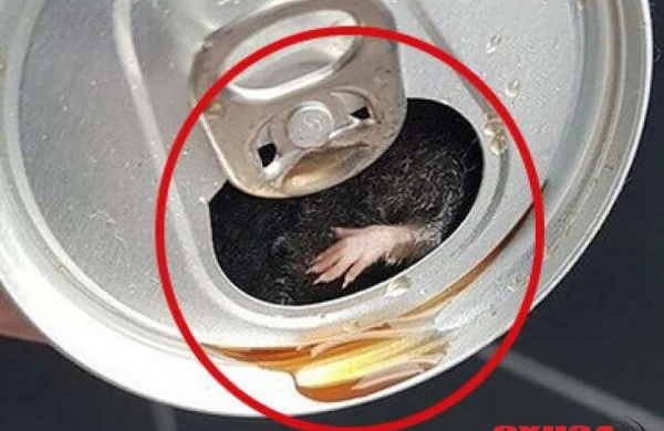 Hər gün içdiyimiz içkinin qabından baxın nə çıxdı - DƏHŞƏT / FOTO