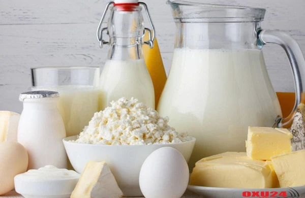 Süd və süd məhsulları alarkən diqqətli olun!