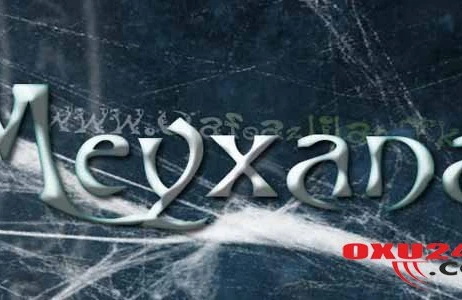 Daha bir meyxanaçı ilə bağlı üzücü xəbər