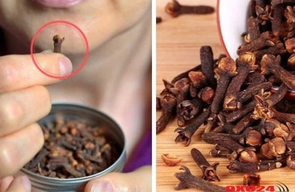 Saqqızın əvəzinə mixək çeynəyin! 10 faydası