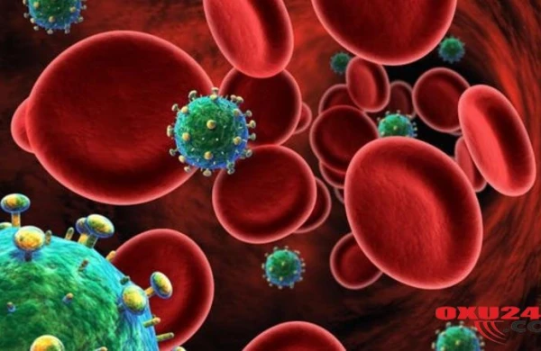 Xərçənglə bağlı İNQİLABİ ADDIM: bundan sonra... - FOTO