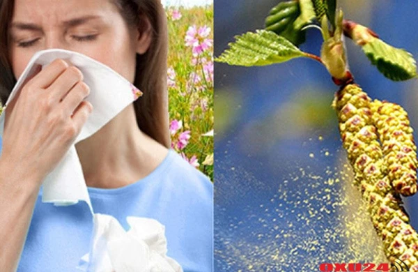 Yaz allergiyasının təbii vasitələrlə müalicəsi - Resept