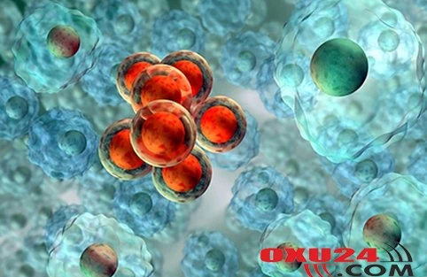 3 min nəfərə ŞAD XƏBƏR - Prezident SƏRƏNCAM İMZALADI