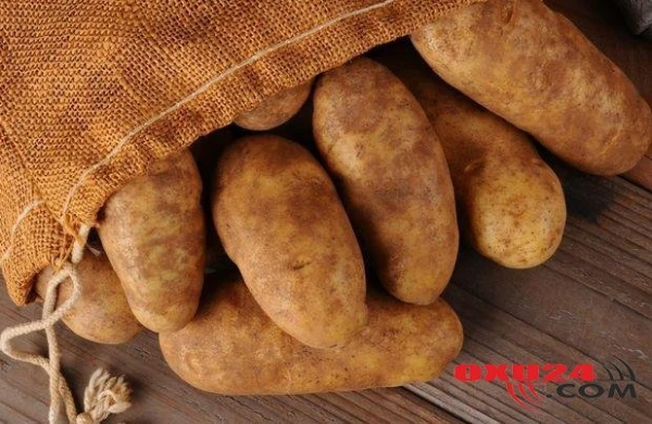 Kartof idxalına gömrük rüsumu tətbiq edildi - Bir kiloqrama bir dollar