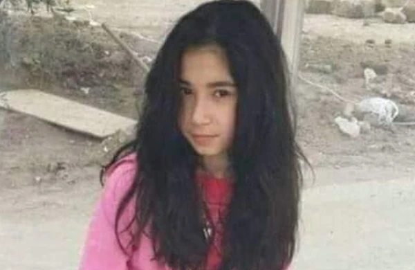 Elinanın ölümündə adı hallanan oğlanı qaçırmaq istədilər