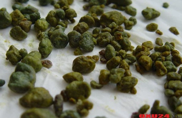 7 günə öd daşından azad olun - Qədim Çin üsulu