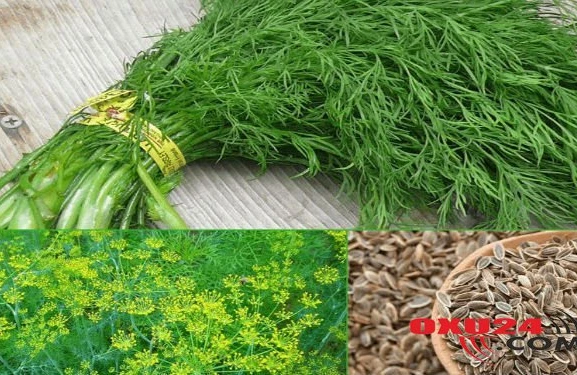 Qulaqdakı küyü şüyüd aparır — Real nəticə