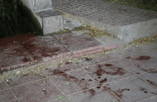 Bakıda parkda dəhşətli hadisə