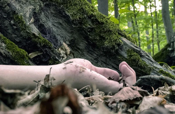 Əvvəl yumruqla,daha sonra taxta ilə vurulub,boğularaq Araz çayına atılıb - DİN dəhşətli qətlin detalın açıqladı