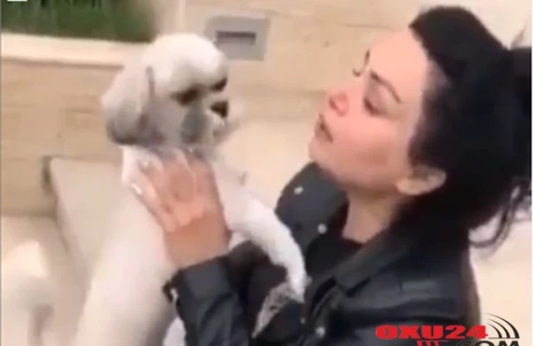 Sənə qurban olum Riçi: Gözyaşlarını tökən qadın itini tapdı