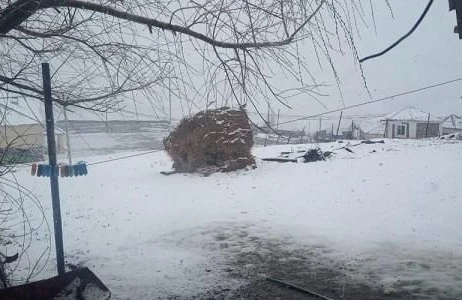 Azərbaycana yazda QAR YAĞDI - FOTO