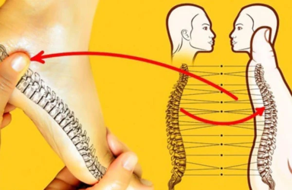 Ayaq masajının intim həyata İNANMAYACAĞINIZ TƏSİRİ - MÖCÜZƏVİ 10 FAYDA
