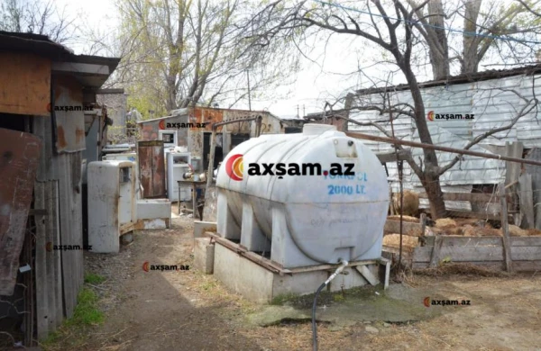 Nazpəri Dostəliyevanın qardaşı burada yaşayır - Foto