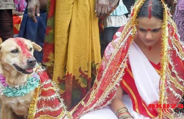 ŞOK TOY ADƏTLƏRİ: hamilə gəlin, heyvanla evlilik, ərini tapana kimi hər kəslə seks - FOTO