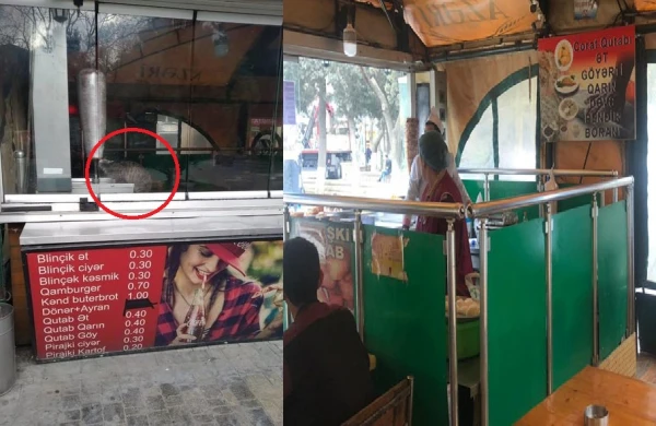 Bakıda restoranda İYRƏNCLİK! Əhaliyə satılan dönəri pişik yeyir