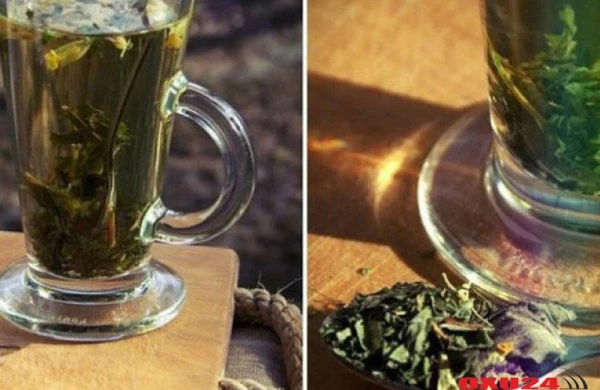 Mastopatiya bu iki bitkidən qorxur - Reseptlər