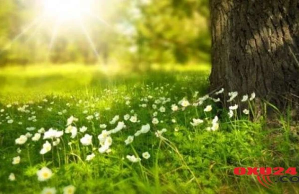 Bu gün 25 dərəcə isti olacağı gözlənilir