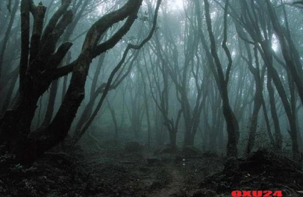 Tərtərdə meşədə dəhşətli ölüm hadisəsi