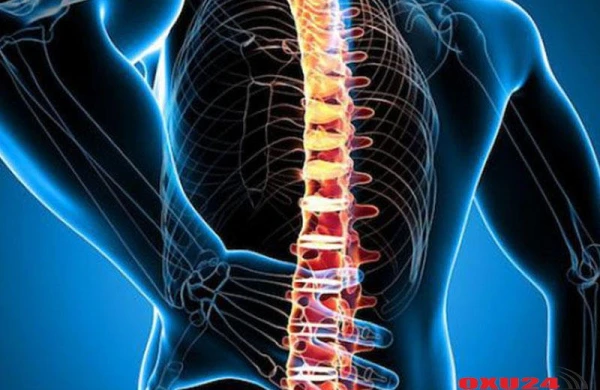 Mütəxəssis: “Bel yırtıqlarının əksəri fizioterapiya ilə sağalır, əməliyyata tələsmək lazım deyil”