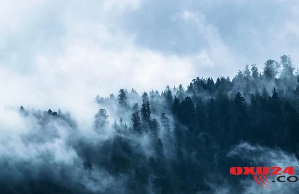 Mayın 2-nə hava proqnozu açıqlanıb