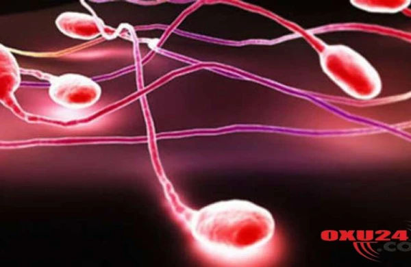 Diş və damaq xəstəliklərinin evdə müalicəsi - Professor Neumıvakindən RESEPT