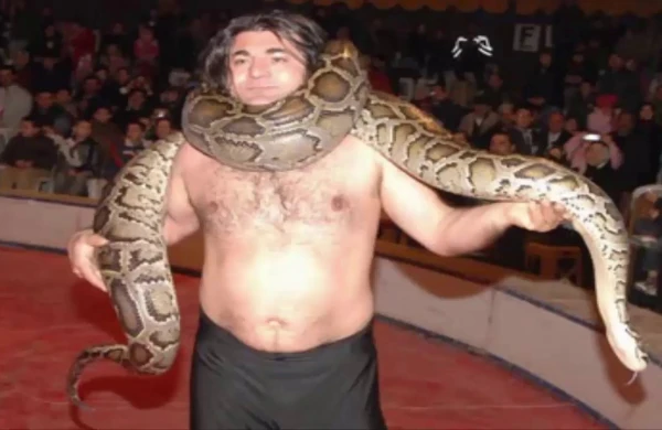 Şou faciəyə döndü!Nəhəng piton ilanı sirk ustasını boğub öldürdü