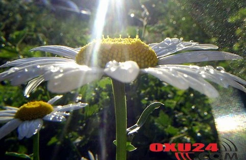 Yağış yağacaq, şimşək çaxacaq - Sabahın havası