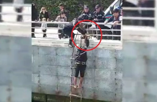 Bakıda insanlıq dərsi!FHN dənizə düşmüş pişiyi belə xilas etdi