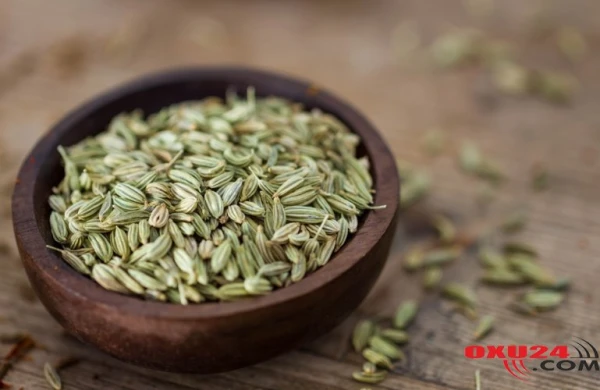 Hər gün şüyüd toxumu yesəz, nə baş verər – 5 təsir