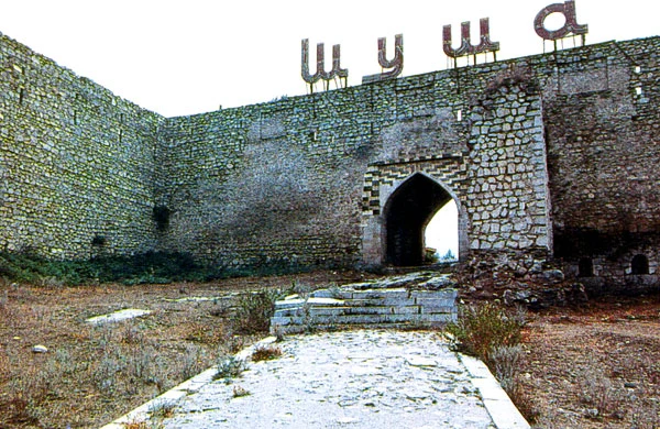 Azərbaycanlı şairin Şuşaya həsr etdiyi şeir hər kəsi ağlatdı