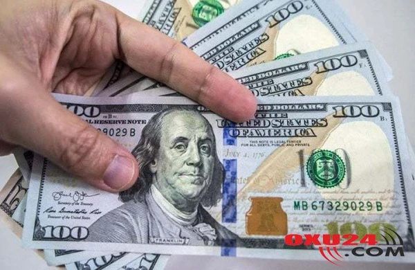 Banka 100 min manat qoyan əcnəbiyə yaşamaq icazəsi veriləcək - AZƏRBAYCANDA