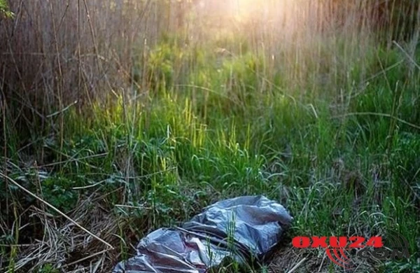 Sərhəd yaxınlığında qorxunc mənzərə