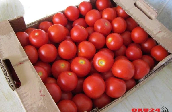 Pomidoru soyuducuda saxlamaq olmaz?