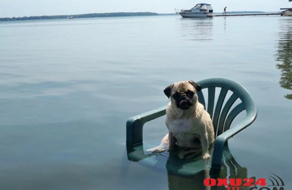 36 dərəcə isti olacaq - Sabahın havası