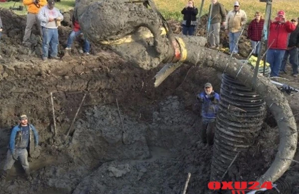 Ər və arvad tarlanı şumlayarkən tapdı - Bu tapıntı ölkədə ŞOK effekti yaratdı /FOTOLAR